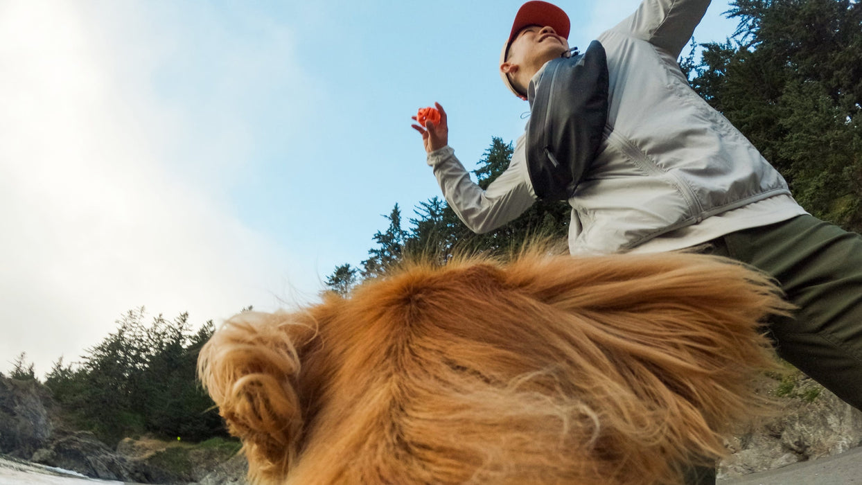 Arnés para tu mascota Fetch